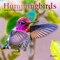 Hummingbirds | 2026 7 x 14 Inch (Hanging) Monthly Mini Wall Calendar | Foil Stamped Cover